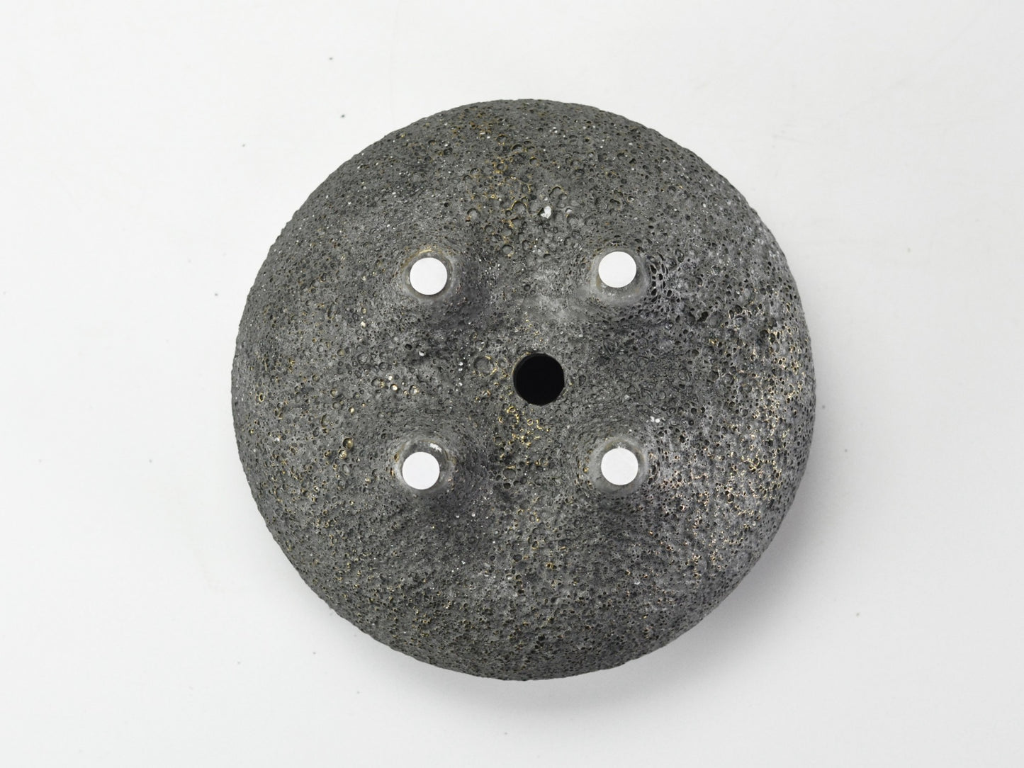 6号鉢(幅18～20cm)