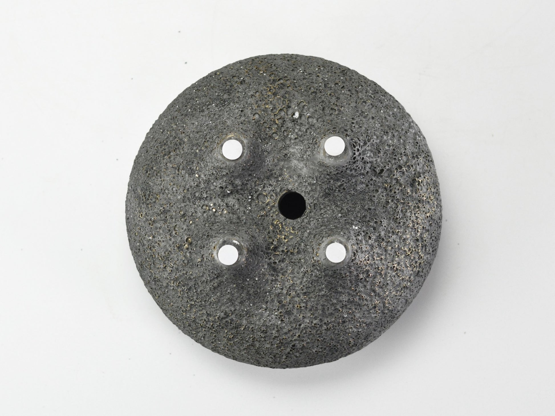 6号鉢(幅18～20cm)