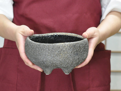6号鉢(幅18～20cm)