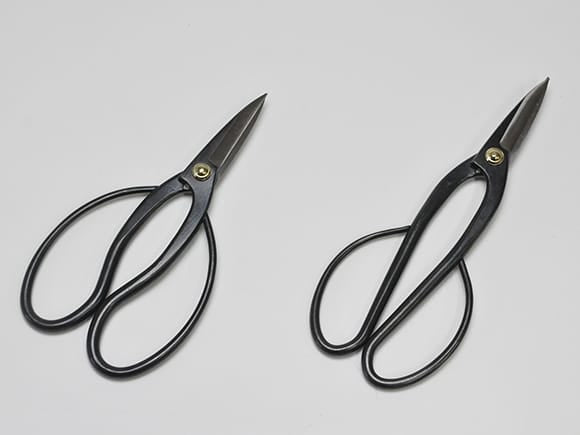 【母の日】立派な長寿梅の盆栽とはじめての道具セット 信楽祝い鉢受け皿付き