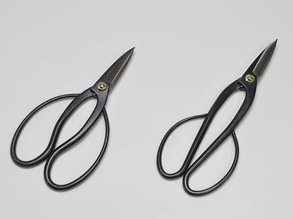 【母の日】立派な長寿梅の盆栽とはじめての道具セット 信楽祝い鉢受け皿付き