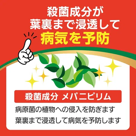 【スプレータイプ】ベニカXファインスプレー 420ml