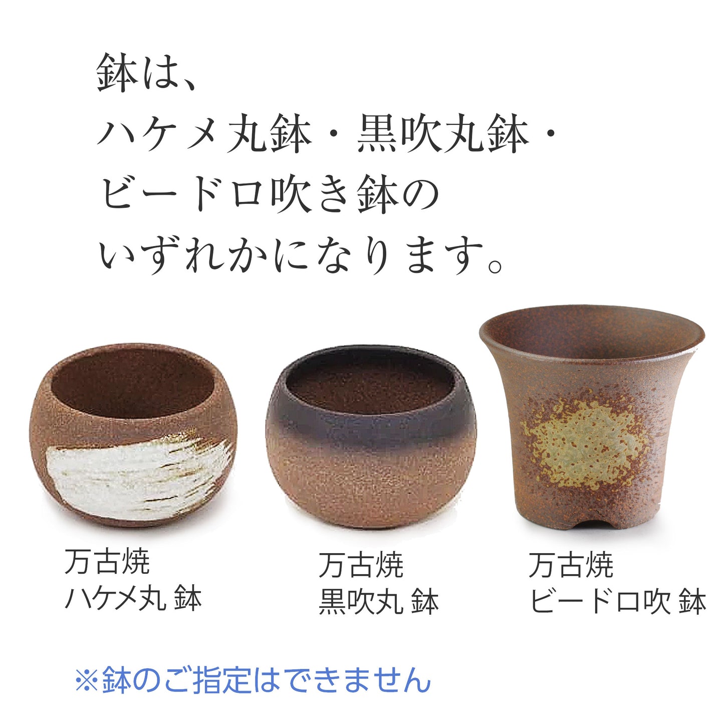 山もみじ　ハケメ丸鉢