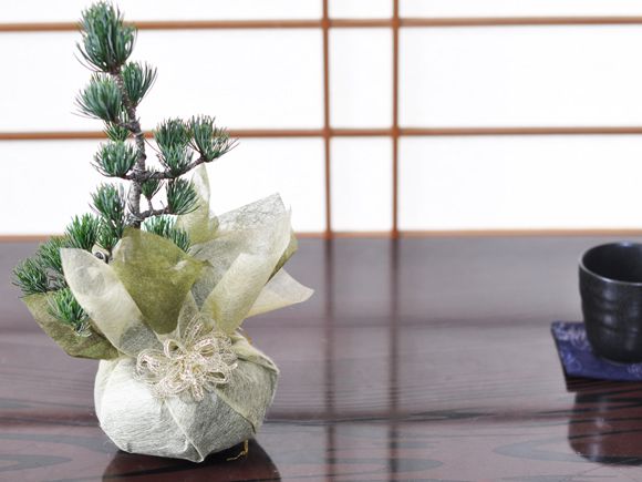 無料ラッピング】ゴールド 無地｜盆栽妙 – 盆栽妙 本店