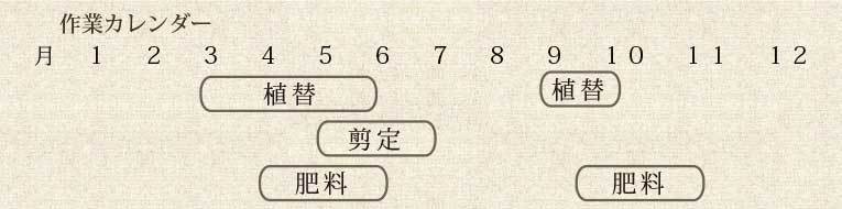 年間作業