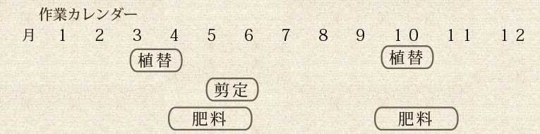 年間作業