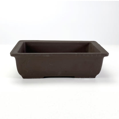 6号鉢(幅18～20cm)