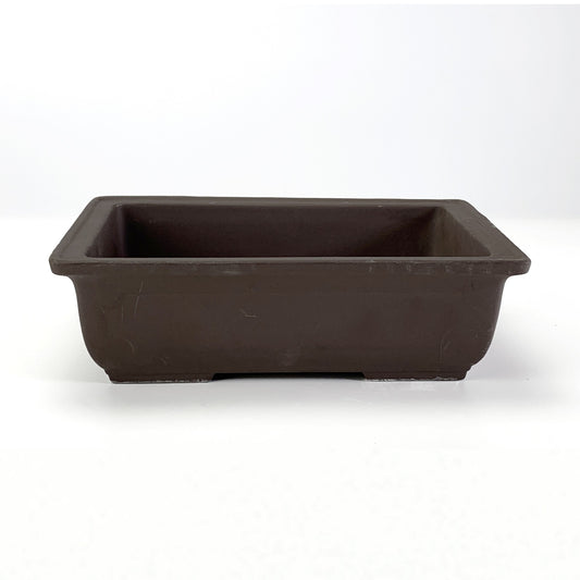 6号鉢(幅18～20cm)