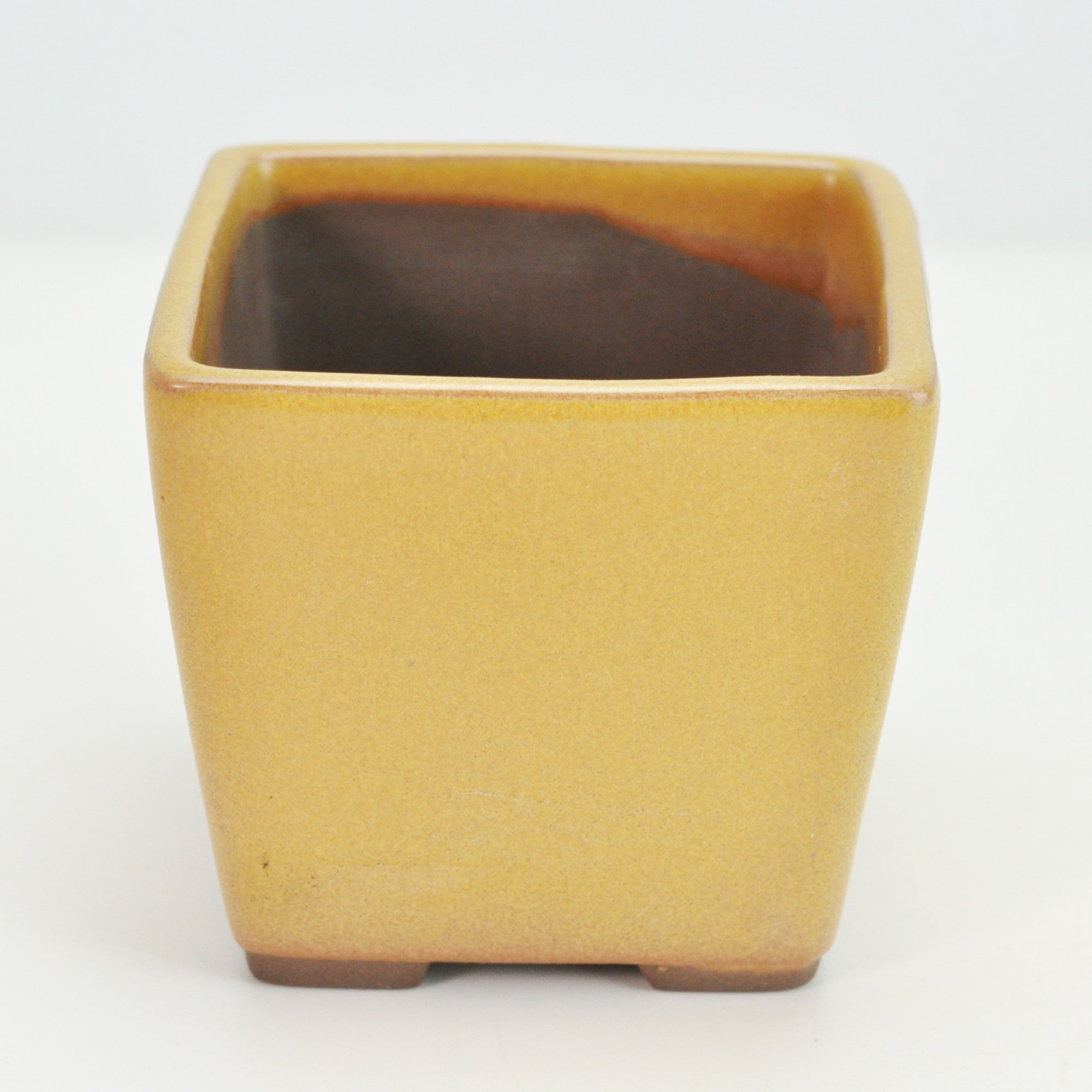 瀬戸焼】 正角 3号 黄 幅8.5cm×高さ8cmの販売｜盆栽妙 – 盆栽妙 本店