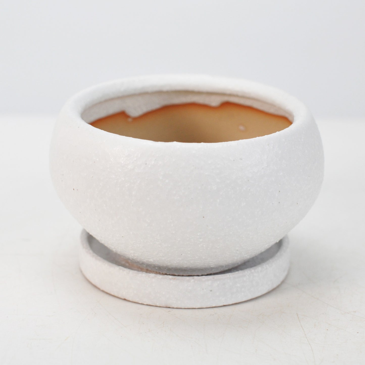 4号鉢(幅11～14cm)