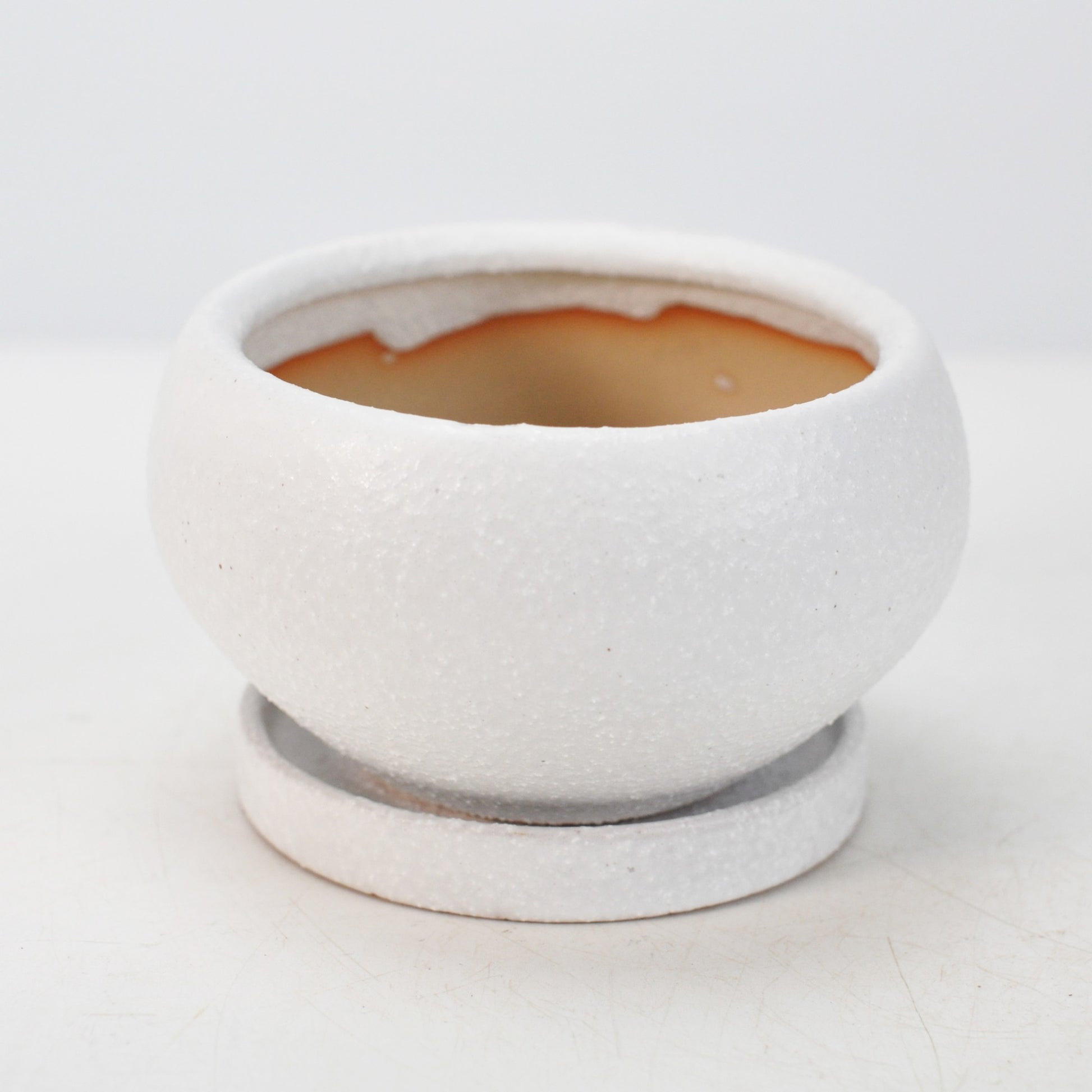 4号鉢(幅11～14cm)