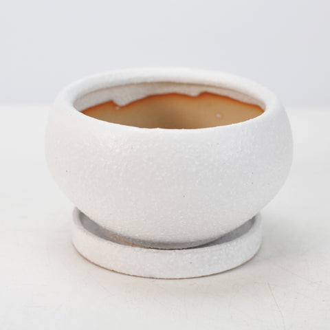 ロネーア 受け皿付き ホワイト 4号 幅12cm×高さ6.5cm