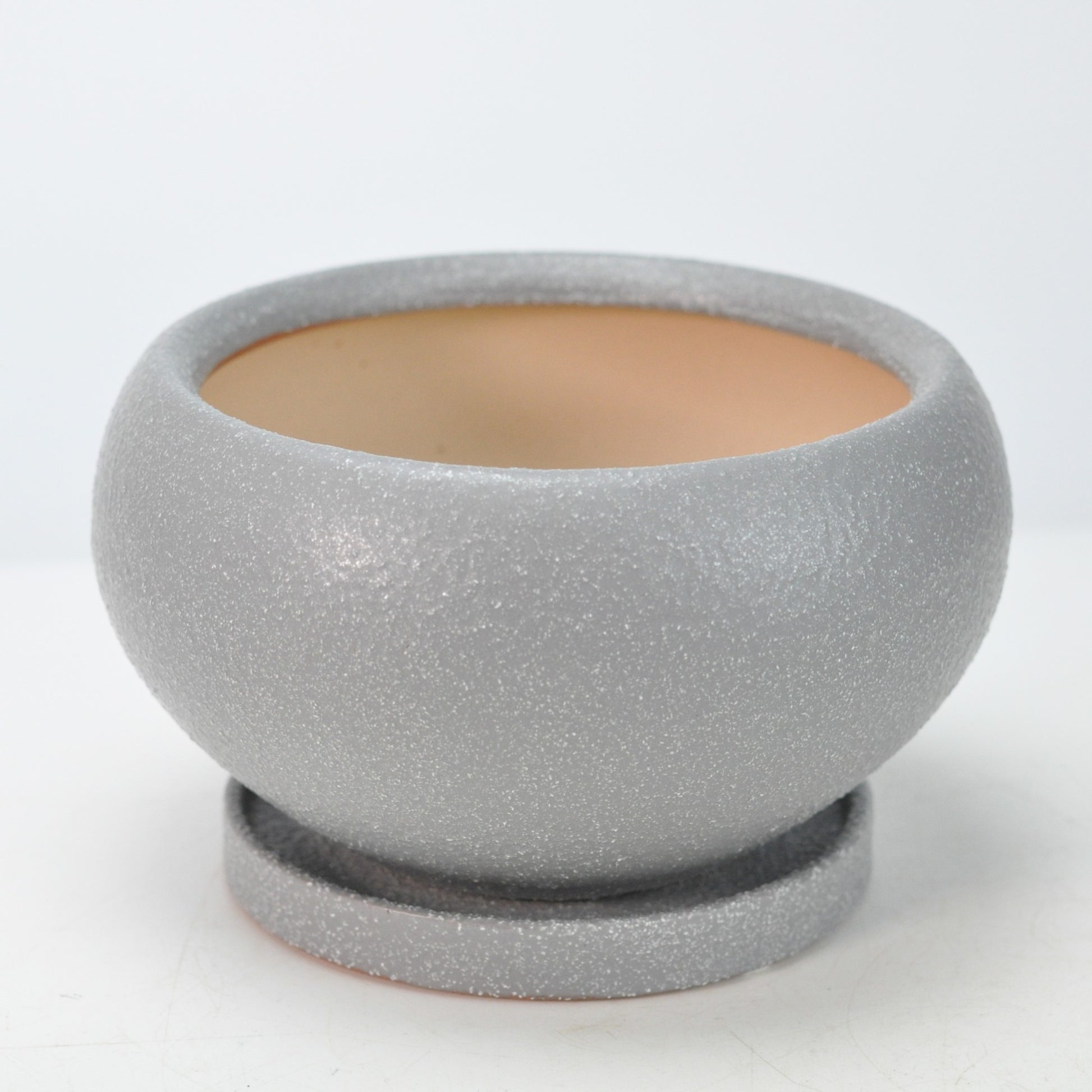 5号鉢(幅14～16cm)