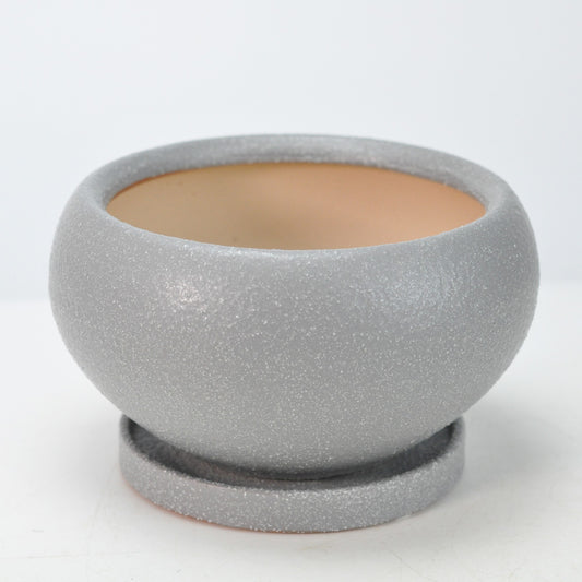 5号鉢(幅14～16cm)