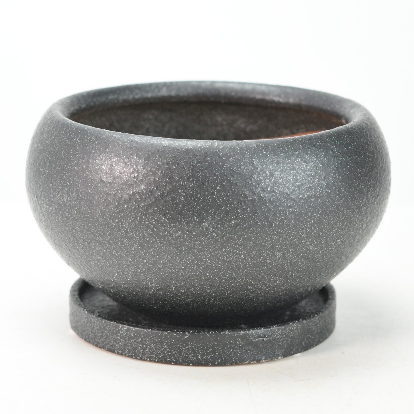 5号鉢(幅14～16cm)