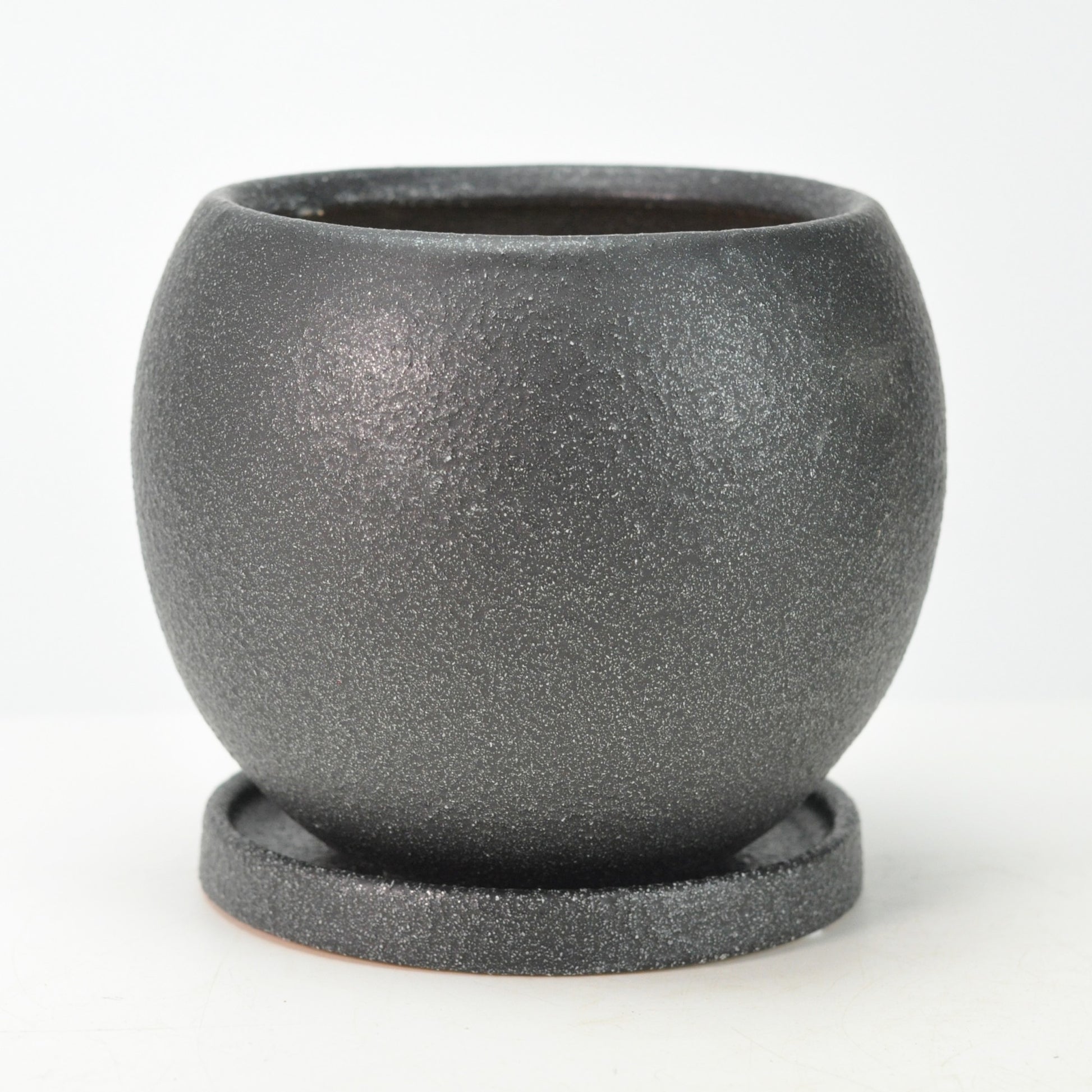 5号鉢(幅14～16cm)
