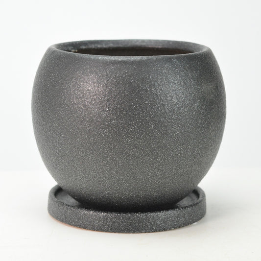 5号鉢(幅14～16cm)