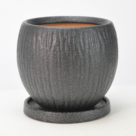 5号鉢(幅14～16cm)