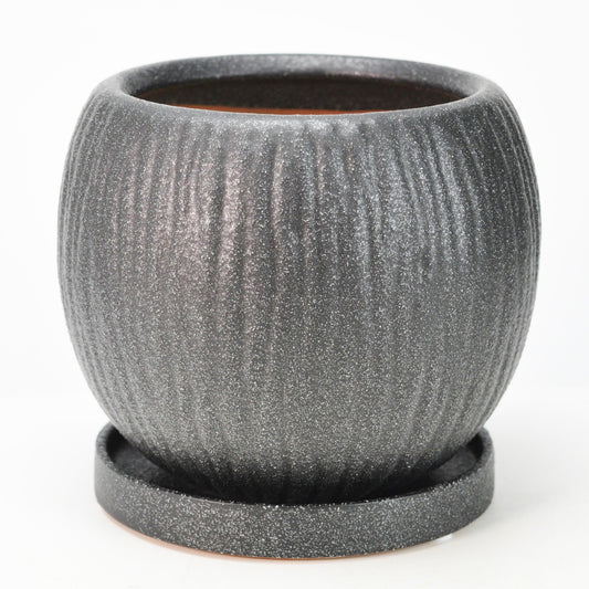 6号鉢(幅18～20cm)