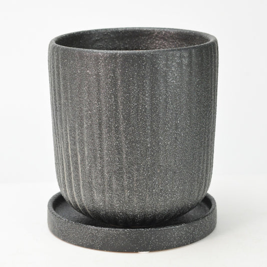 5号鉢(幅14～16cm)