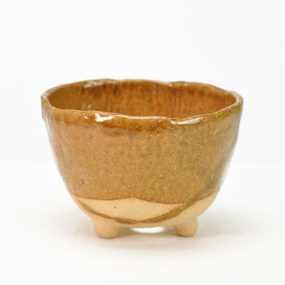 4号鉢(幅11～14cm)