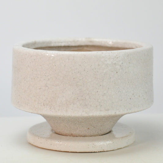5号鉢(幅14～16cm)