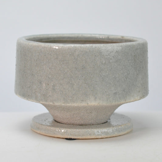 5号鉢(幅14～16cm)