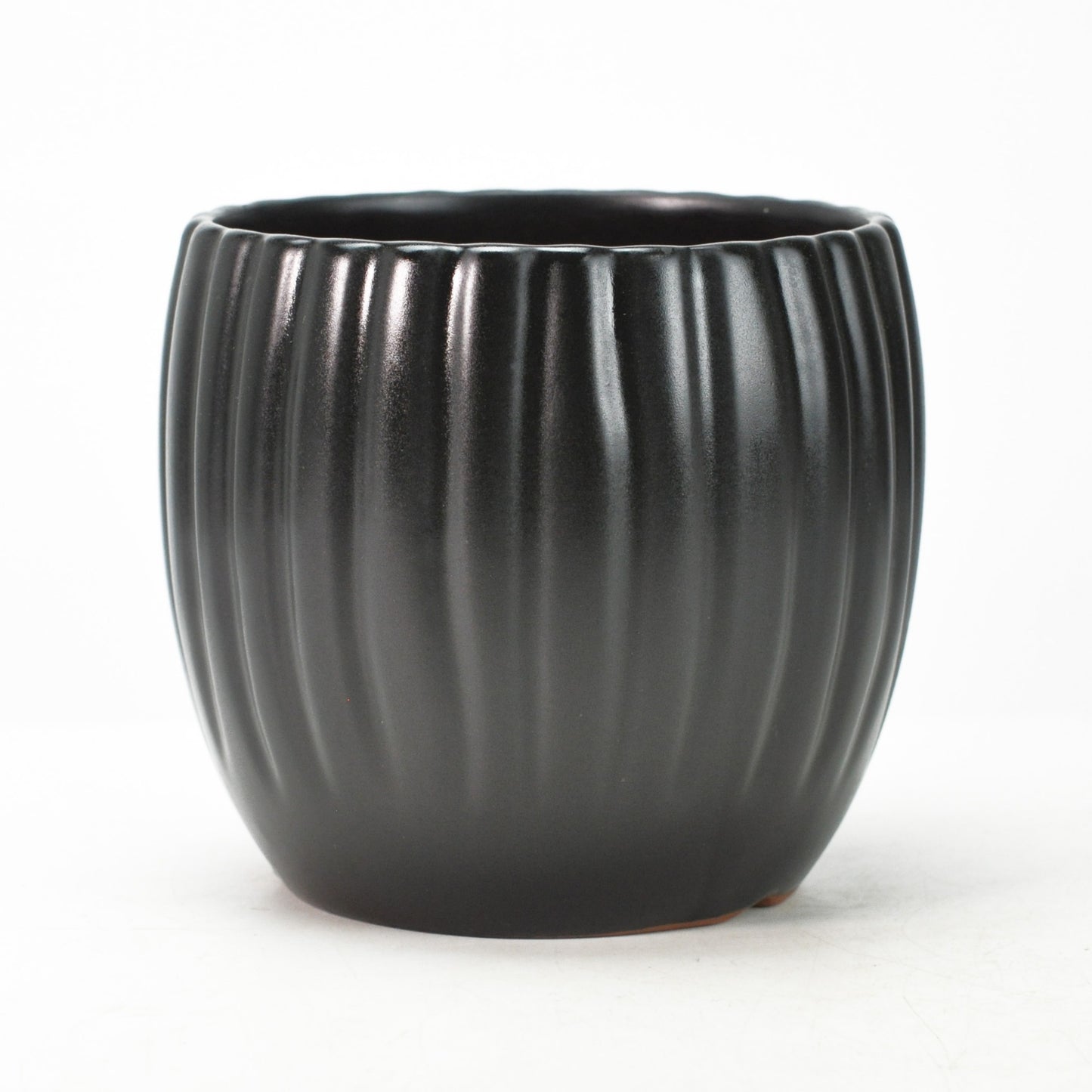 5号鉢(幅14～16cm)