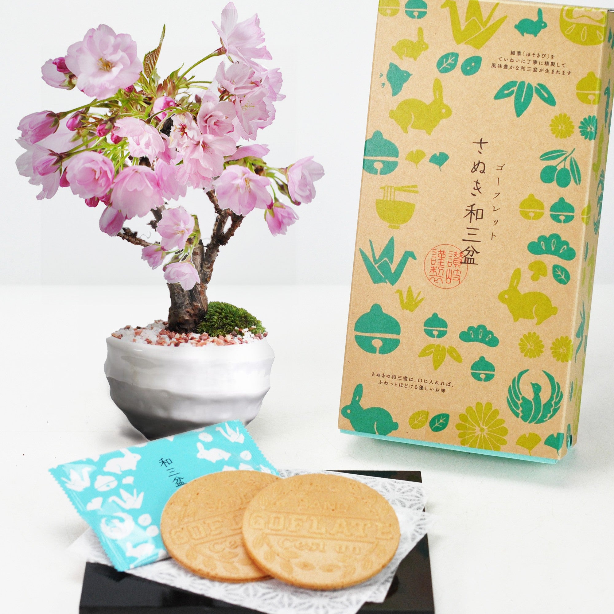 【母の日】和三盆ゴーフレットと開花調整5月に咲くミニ桜