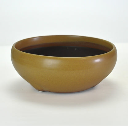 6号鉢(幅18～20cm)