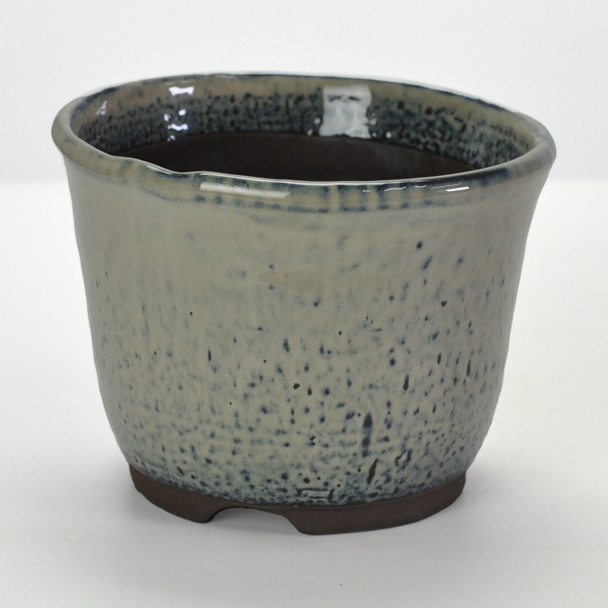 5号鉢(幅14～16cm)