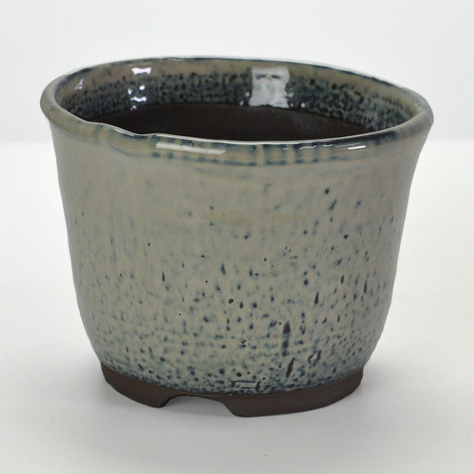 5号鉢(幅14～16cm)