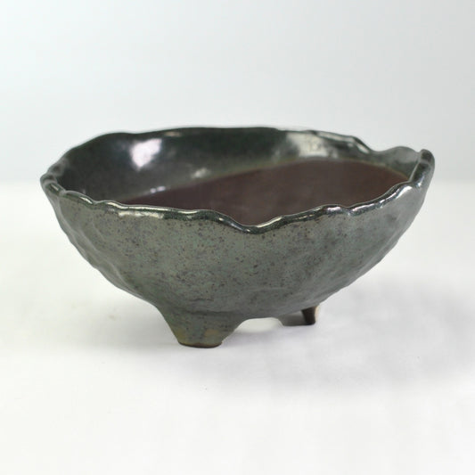 5号鉢(幅14～16cm)