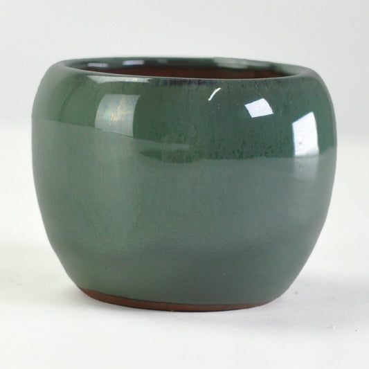 2号鉢(幅5～7cm)