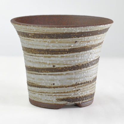 4号鉢(幅11～14cm)