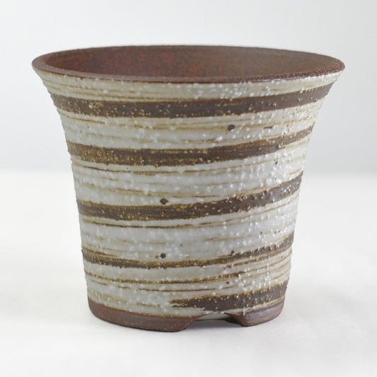 4号鉢(幅11～14cm)