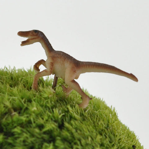 アニマルピック ラプター