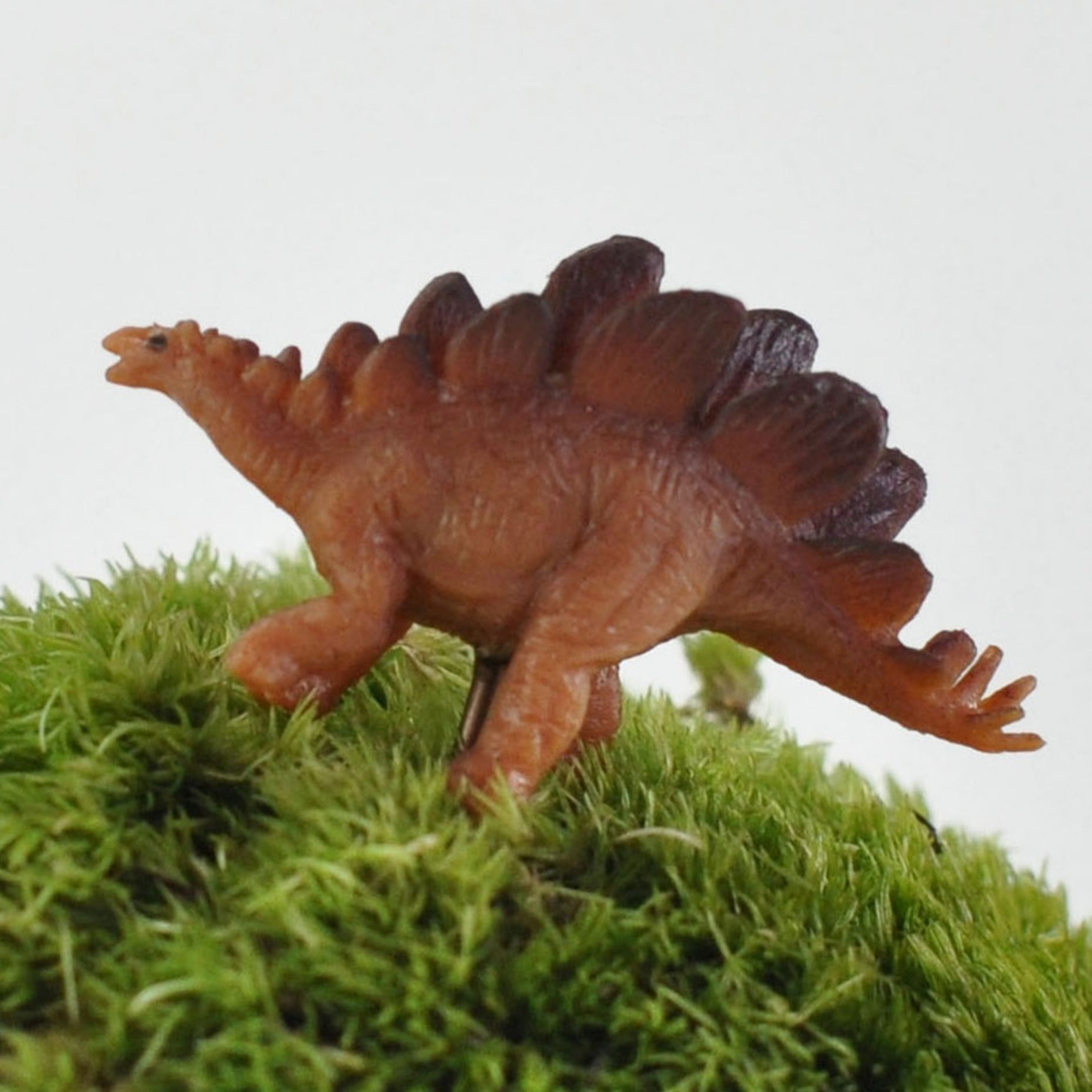 アニマルピック ステゴサウルス