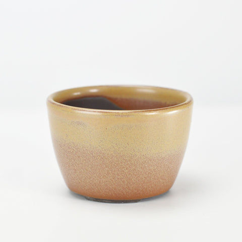 万古焼 黄2.5号丸切立 幅8cm×奥行き8cm×高さ5.3cm