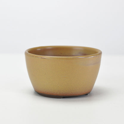 3号鉢(幅8～10cm)