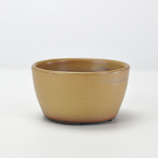 3号鉢(幅8～10cm)