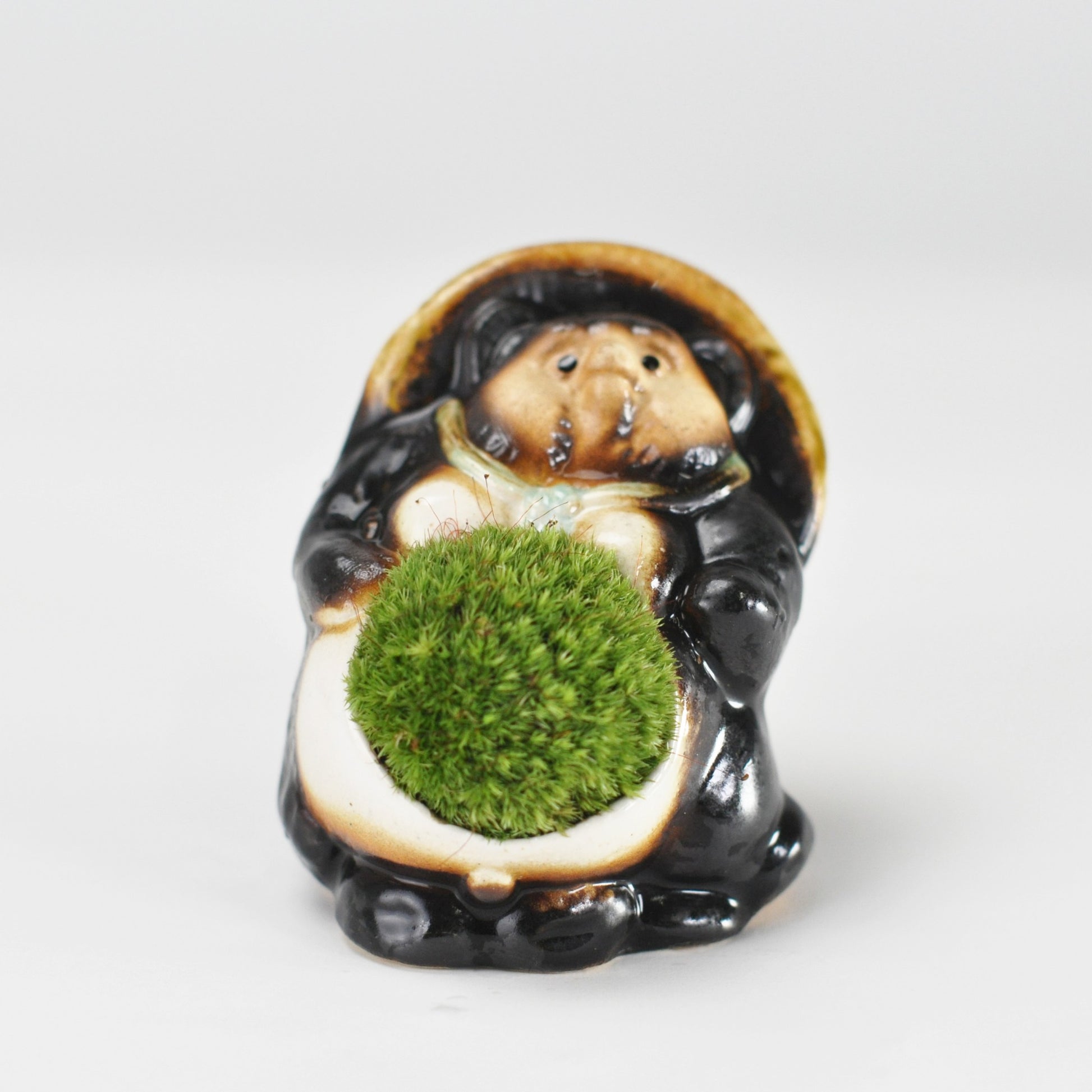 たぬきの苔盆栽