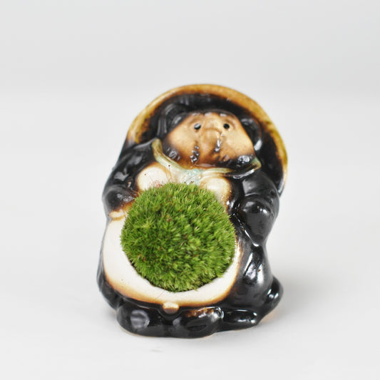 たぬきの苔盆栽
