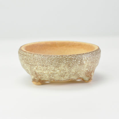 3号鉢(幅8～10cm)