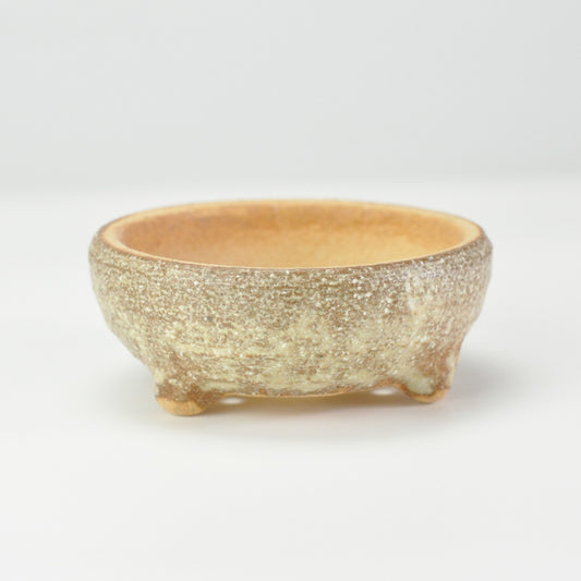 3号鉢(幅8～10cm)