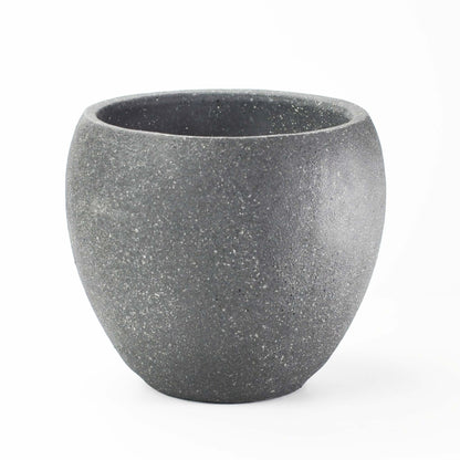 6号鉢(幅18～20cm)