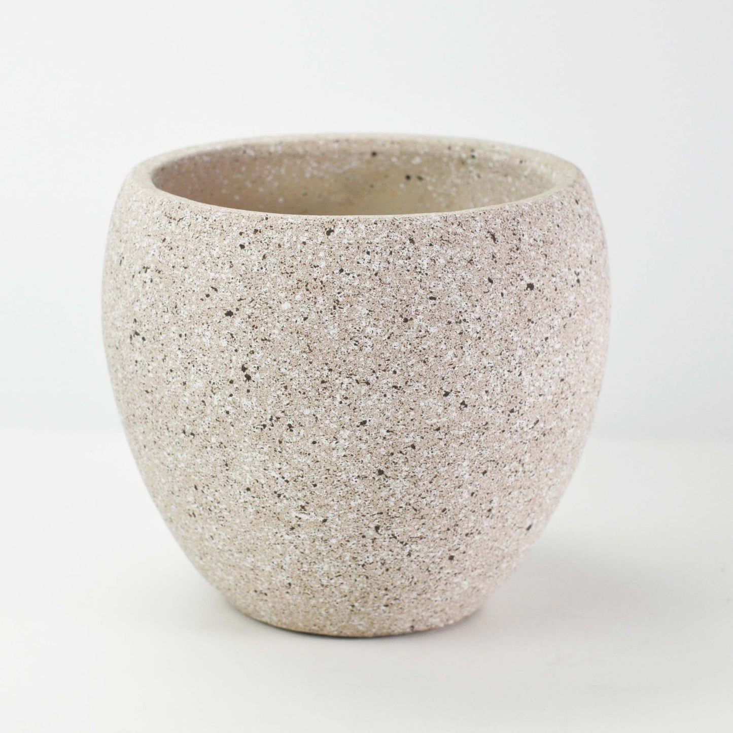 6号鉢(幅18～20cm)