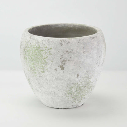  5号鉢(幅14～16cm)