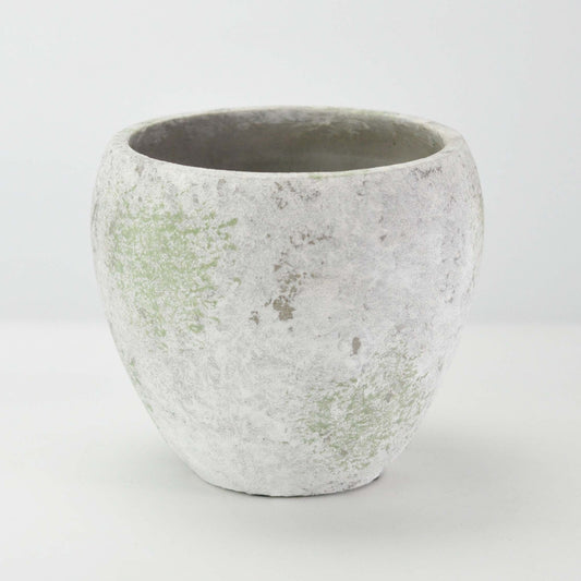  5号鉢(幅14～16cm)