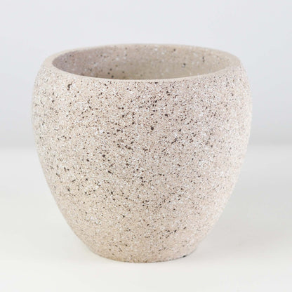  5号鉢(幅14～16cm)